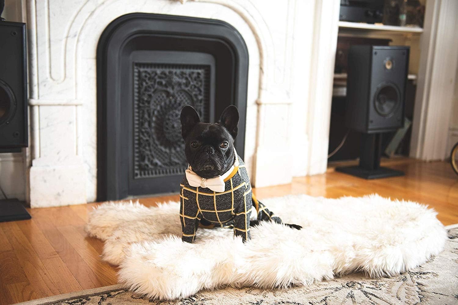 Treat A Dog Puprug Faux Fur Memory Foam Orthopedic Bed, Premium Memory Foam Base, Ultra-Soft Faux Fur Cover, Modern and Attractive Design (Small/Medium, Curve White) : Pet Supplies