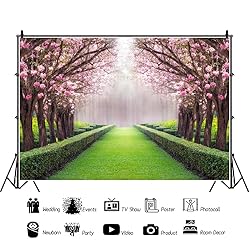 Leowefowa Vinyl 7x5ft Spring Backdrop Valentine's