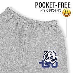 LOGOVISION Tennessee State University Primary Logo