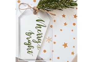 UNIQOOO 3.25“ Clear Acrylic Christmas Ornament, Stocking Gift Tag, Acrylic Blanks, Wedding Gift Tag, Stocking Tag, Pack of 20