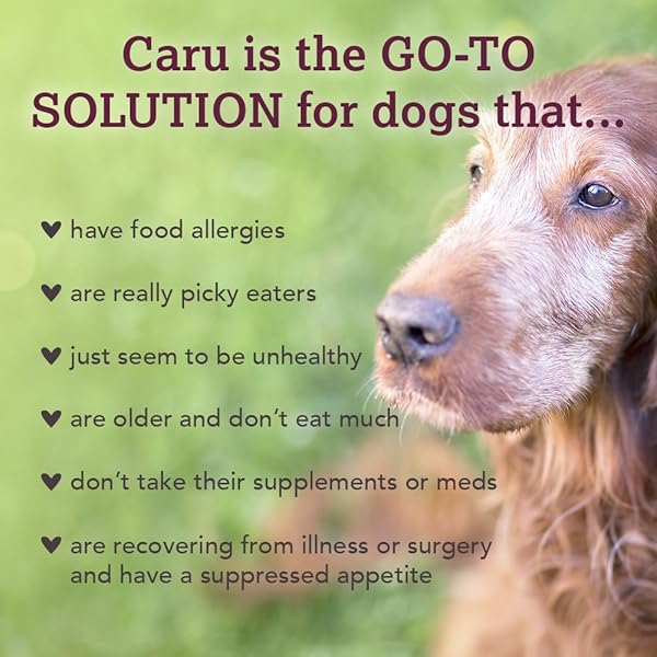 CARU REAL PORK STEW FOR DOGS, NATURAL ADULT WET DOG FOOD WITH ADDED VITAMINS AND MINERALS, FREE FROM GRAIN, WHEAT AND GLUTEN (PACK OF 12)