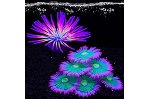 HIKTQIW 2pcs Silicone Glowing Effect Aquarium Fish Tank Decorations, Artificial Soft Anemone Coral Plants Ornaments for Aquarium Decor Landscape, Glow in Dark Fish Tank Accessories Decorations(Pink)