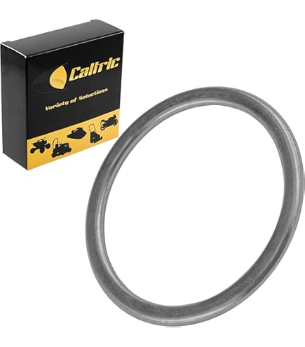 Amazon.com: Caltric Muffler Pipe Gasket Compatible with