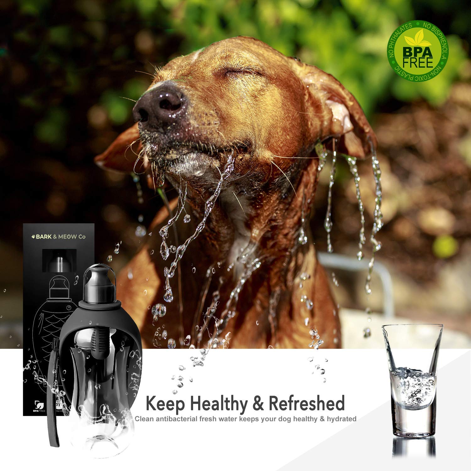 bark and meow pet carrier