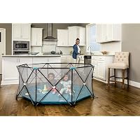 Regalo My Play Deluxe Extra Large Portable Play Yard Indoor and Outdoor, Bonus Kit, Includes Carry Case, Washable, Teal, 8-Panel