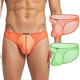 SUMABA Men's Sexy Mesh Underwear Briefs See Through Low Rise Briefs with Pouch