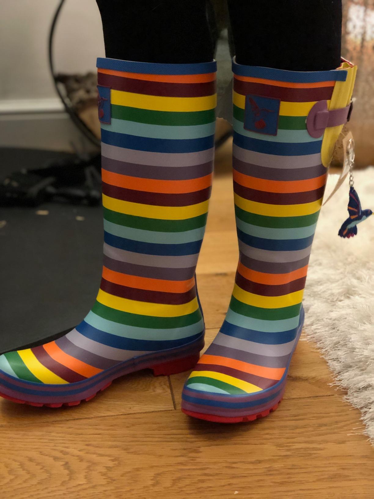 evercreatures rainbow wellies