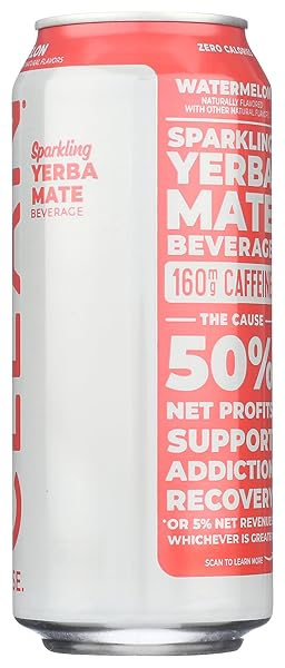 CLEAN CAUSE ORGANIC SPARKLING WATERMELON YERBA MATE, 16 FZ