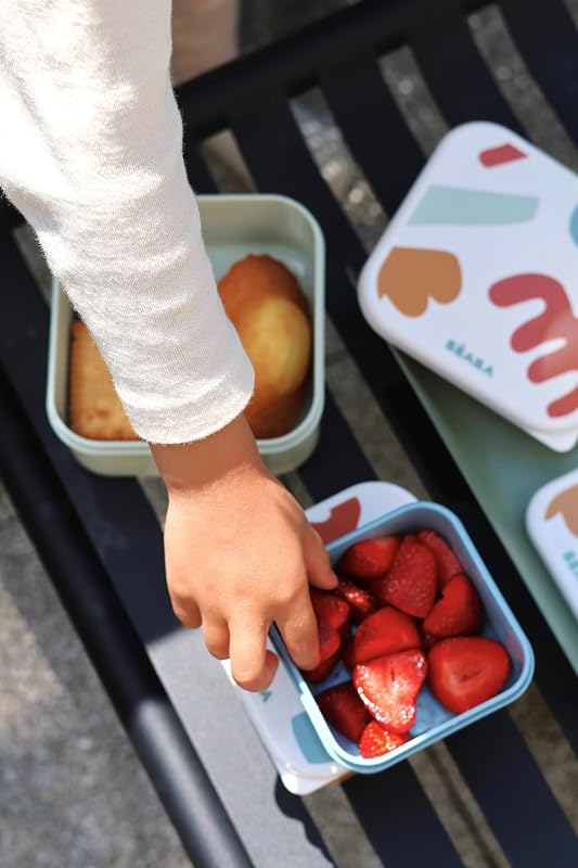 , Set di 3 scatole per merenda per bambini e ragazzi, ideali per l'asilo nido e la scuola materna,facili da aprire e da pulire, lavabili in lavastoviglie e nel microonde,230mL/350mL/500mL,Playful