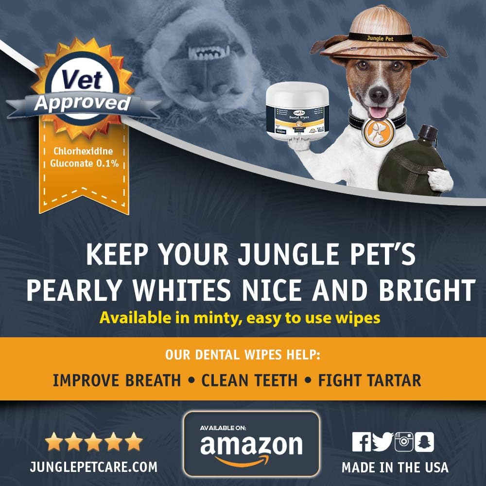 homemade dog dental wipes