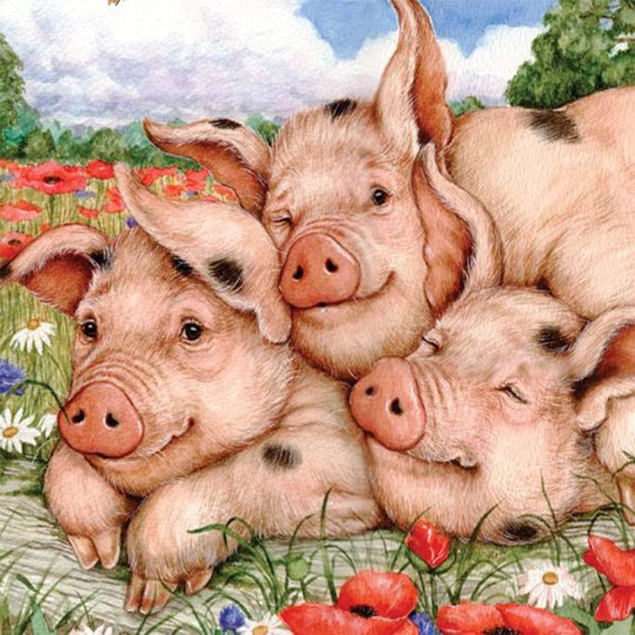 Kaliosy DIY Oil Painting by Numbers Kits Garden Pigs and Flowers, DIY Oil Painting Drawing Beginner Wall Home Decor 20x20 inch Ls3-247 (X17680)