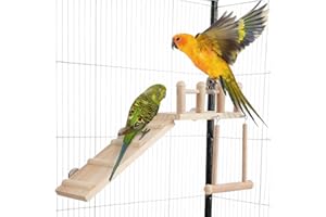LYCSKJ Bird Perches Platform Swing with Climbing Ladder, Parakeet Cage Accessories Wooden Playing Gyms Exercise Sturdy for Sm