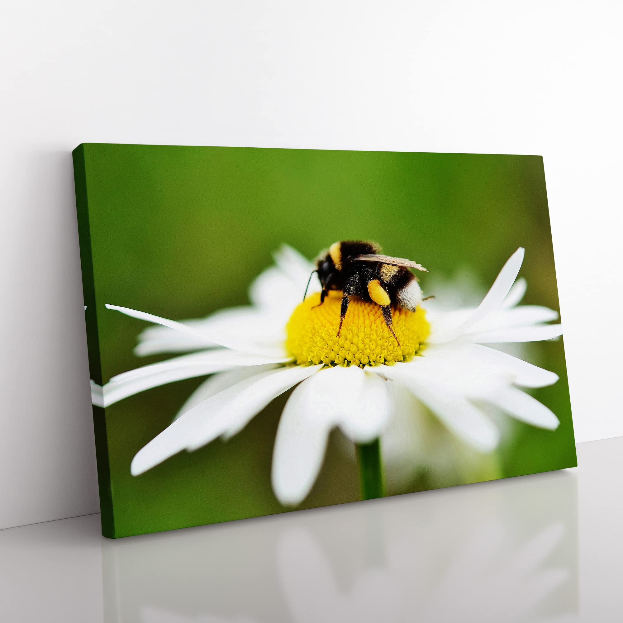 Bumble Bee White Daisy Modern Canvas Wall Art Print Ready to Hang, Framed Picture for Living Room Bedroom Home Office Décor, 50x35 cm (20x14 Inch)