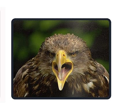 Amazoncom Animal Golden Eagle Birds Mouse Mat Mouse Pad