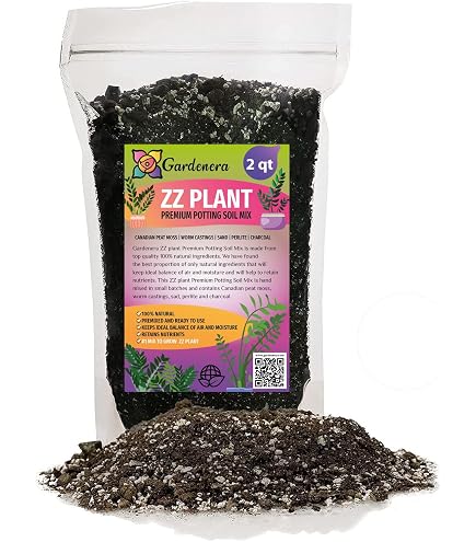 Amazon.com : Premium ZZ Plant Potting Soil by Gardenera - Infuse Your Space  with Distinctive Leaves and Lively Vitality - 2 Quart : Patio, Lawn & Garden