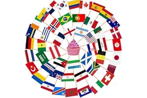 AhfuLife World Cup Nations Toothpick Flags for World Cup Decorations 2026, 48 Countries Mini Toothpick Flags, Cupcake Toppers