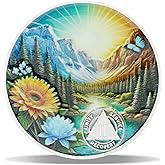 2 Year Serenity Bloom Sobriety Coin – Journey into Serenity NA Medallion – Spiritual Token for Recovery & Clean Time – Empowering NA AA Chips – Gift for Men & Women（Nickel Finish）