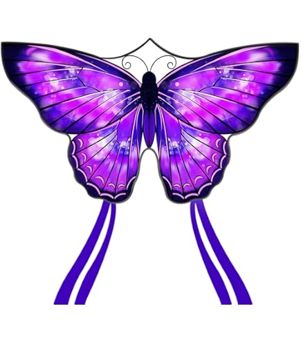 2 Cerfs-volants Papillon Simxkai - Pour Enfants Et Adultes - Nylon 210T Résistant - Envole Facile