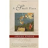 A Small Place