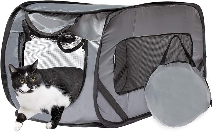 cat travel kennel