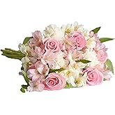 1800 Flowers - Pink Mixed Bouquet Single (Bouquet Only) - Fresh Flowers for Delivery - Gift for Anniversary, Birthday, Congratulations, Get Well, Thank You