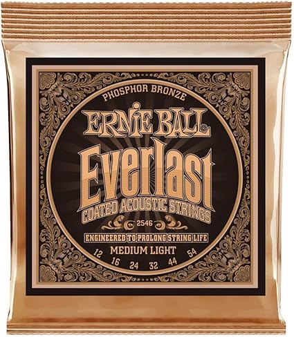 ernie ball 54