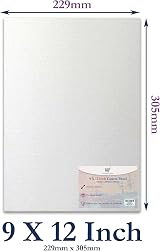 Habercrafts 9x12 Inch Canvas Panels 5 Pack 100% Cotton Primed Ready to Use view 2