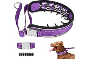 Mayerzon Prong Collar for Large Medium Dogs, Patented Reflective Pinch Collar with Metal Buckle, No Pull Adjustable Hidden Covered Dog Walking Training for Pitbull German Shepherd Doberman(Purple, XL)