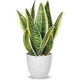 Hollyone Artificial Snake Plant Potted Faux Sansevieria Trifasciata Plants, 13" Tropical Fake Plants in White Pots for Home O