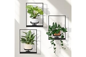 storenization Wall Planters for Indoor Plants, Window Plant Shelves Set of 3, Wall Plant Stand to Hold Large Pots - Premium M