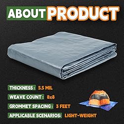 RAINDEWAY Tarps 8x10 Feet, 5.5 Mil - Multipurpose