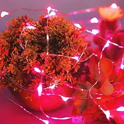 Ariceleo Led Fairy Lights Battery Operated, 2 Packs