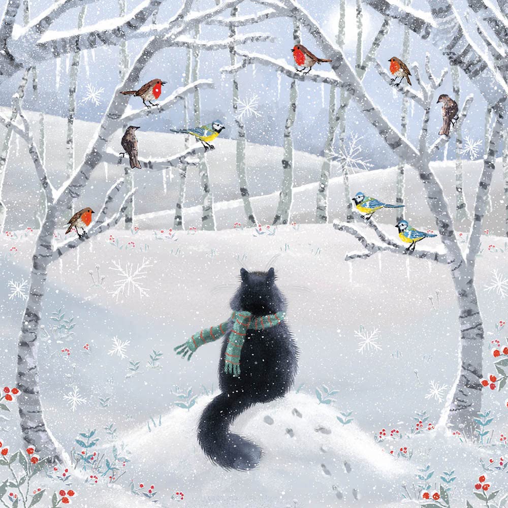 Museums and Galleries Charity Christmas Cards Pack of 8 - Charity Christmas Cards with Snowy Cat and Birds Design - Eco-Friendly Xmas Cards Multipack with Envelopes