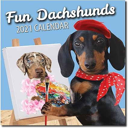 amazon dachshund