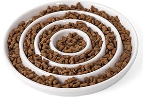 SLSON Ceramic Cat Slow Feeder,Shallow and Wide Opening Dish for Whisker Friendly,Anti Knocked Over Heavy Plate Bowls for Puppy Kitten Dry and Wet Food