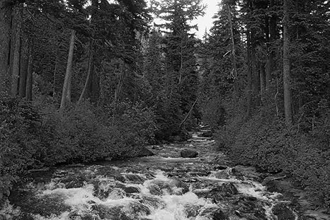 Amazon Co Jp 森の中の渦巻く川壁紙 自然壁紙 349 白黒の キャンバス ステッカー 印刷 壁紙ポスター はがせるシール式 写真 特大 絵画 壁飾り105cmx70cm ホーム キッチン