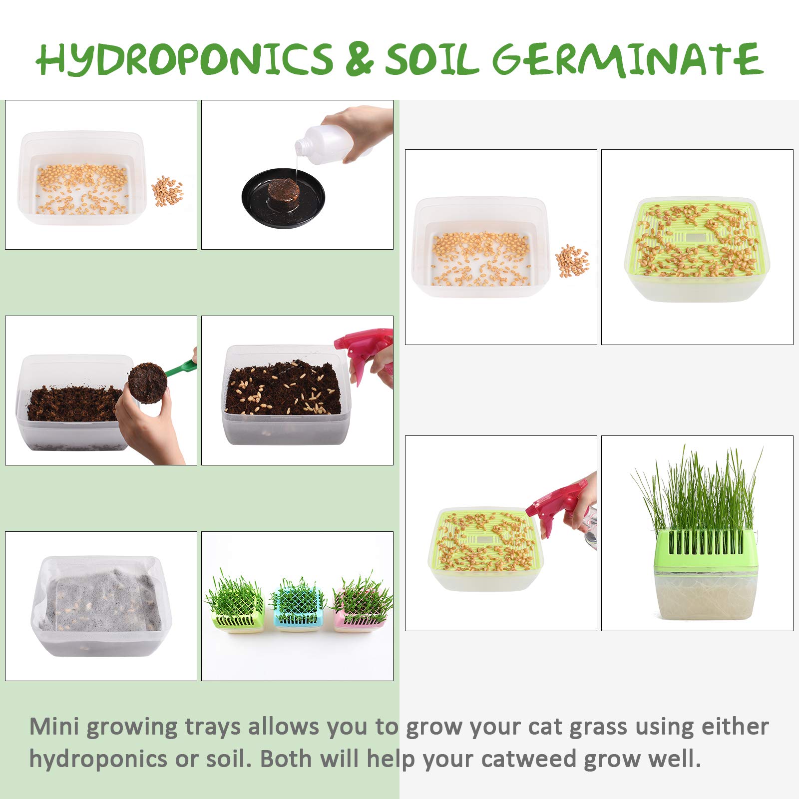 KORAM Cat Grass Growing Kit Organic Pet Grass Kit with Oats Rye Wheat Seeds Trays & Soil Natural Hairball Control Healthy Treat for Cats