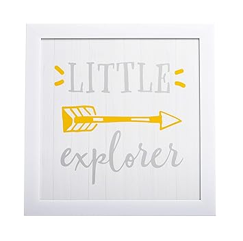 explorer nursery decor
