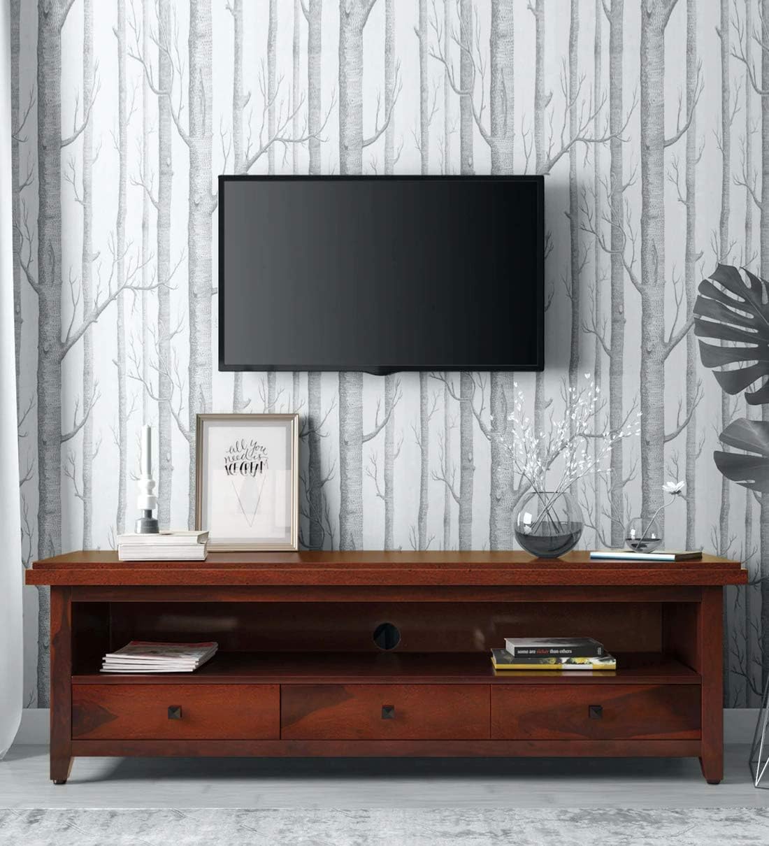 Choyal Sheesham Wooden Entertainment TV Living Room Furniture