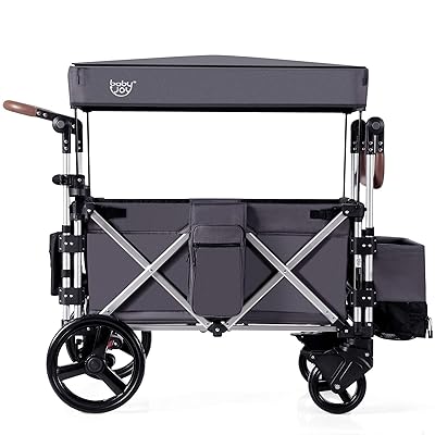 push pull wagon with canopy