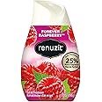 Renuzit Solid Adjustables - Raspberry 12/7.0oz