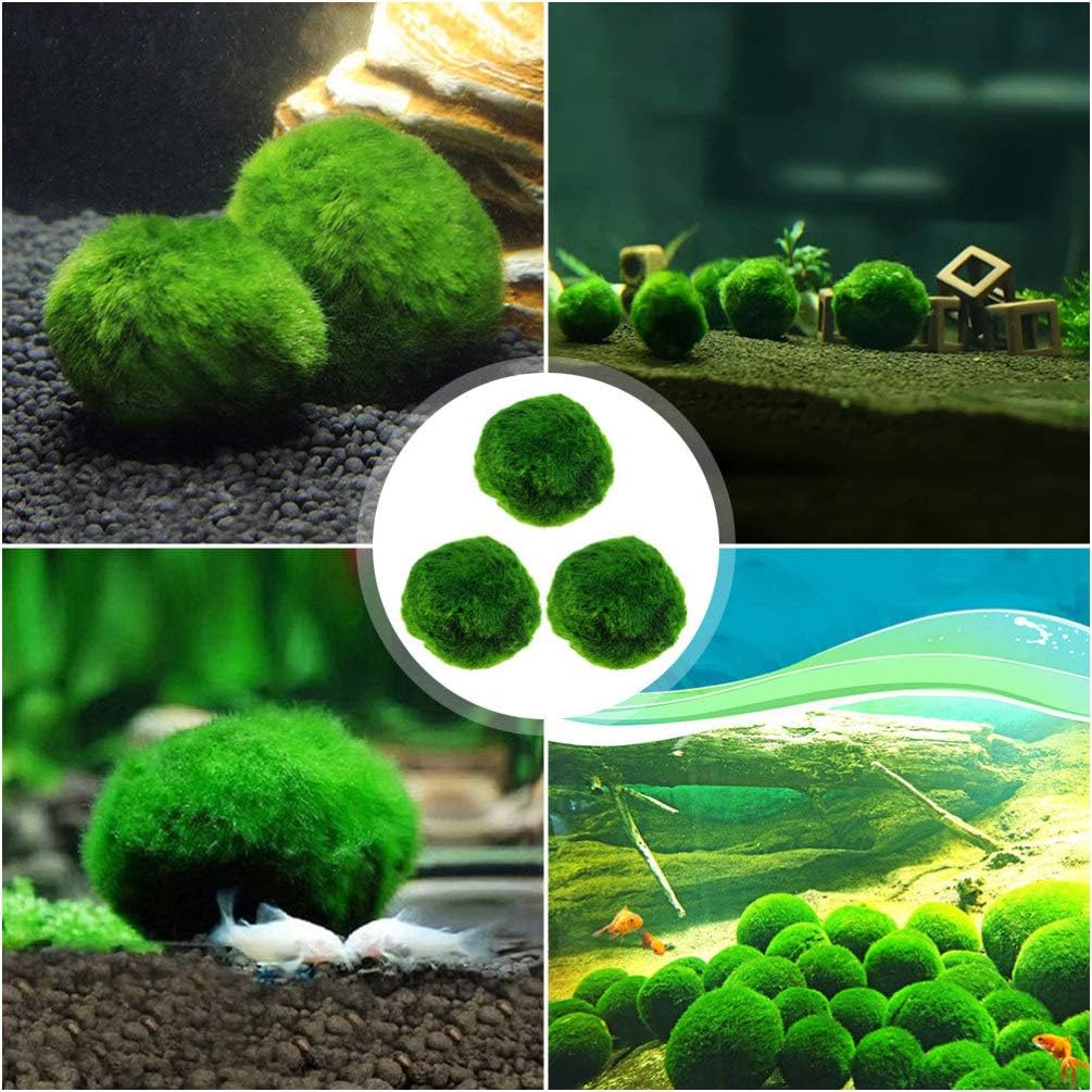 Aquarium Ball Set,Green Decortive Algae Water Purification Ball Living Plant Aquatic Plant for