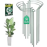 LKSSZS 6 Pack 30 inch Plant Support Stakes, Heavy-Duty Half Round Peony Support, Garden Plant Stakes Cage for Outdoor Plants, Peony, Tomato, Hydrangea, (15In Support +15In Stainless Extension Tubes)