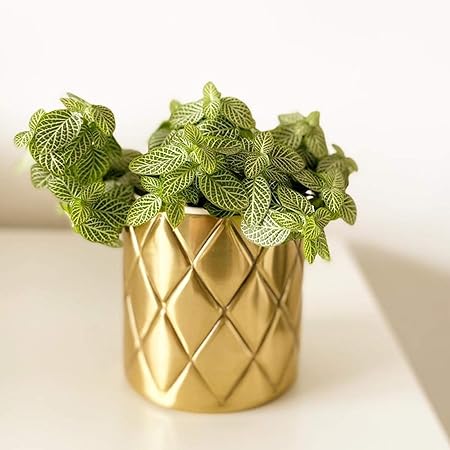 1 BHK Interiors Metal Pineapple Criss Cross Planter/Pot in Gold