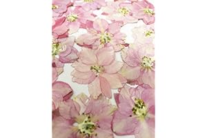 UOKWIWI 24 pcs Pink Larkspur Real Natural Dried Pressed Flowers for Resin Art Craft DIY