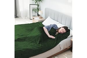 Eydna Electric Heated Blanket Queen Size 84"x 90",Dual Control Super Cozy Soft with 5 Heat Levels & 10 Hours Auto Off, Home Office Use & Machine Washable,Green