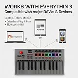 RockJam 25-Key Rechargeable USB MIDI Keyboard Controller with Pads & DAW view 4