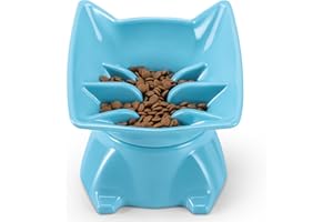 DNOYEUS Small Elevated Slow Feeder Cat Bowl, Cute Tilted Elevated Bowls and Dishes for Cats & Small Dogs, Whisker Friendly, Anti Vomiting Raised Pet Bowl for Dry and Wet Food, Blue