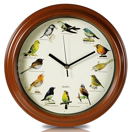 HC-Handel 912109Wanduhr Uhr Vogelwelt mit Vogelstimmen 33 cm braun