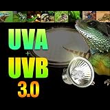PewinGo 4 Pack 50W UVA UVB Heat Lamp Bulbs E27 Reptile Amphibian view 6